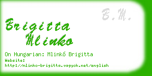 brigitta mlinko business card