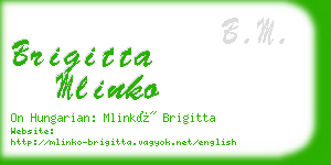 brigitta mlinko business card